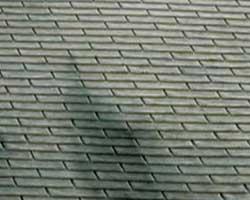 Algae/Dark stains on 3-tab asphalt roofing shingles